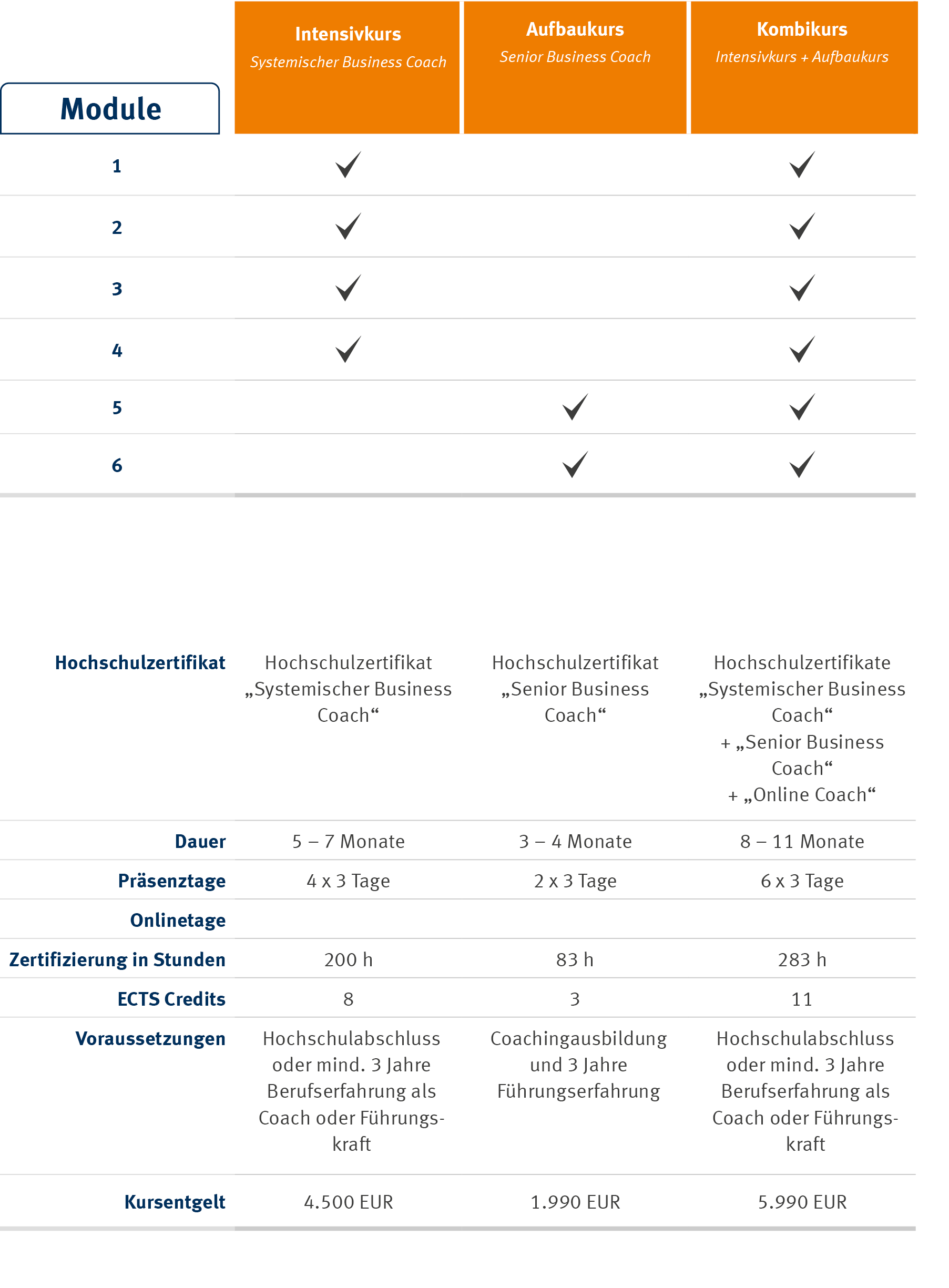 Weiterbildung Systemischer Business Coach | WINGS-Fernstudium