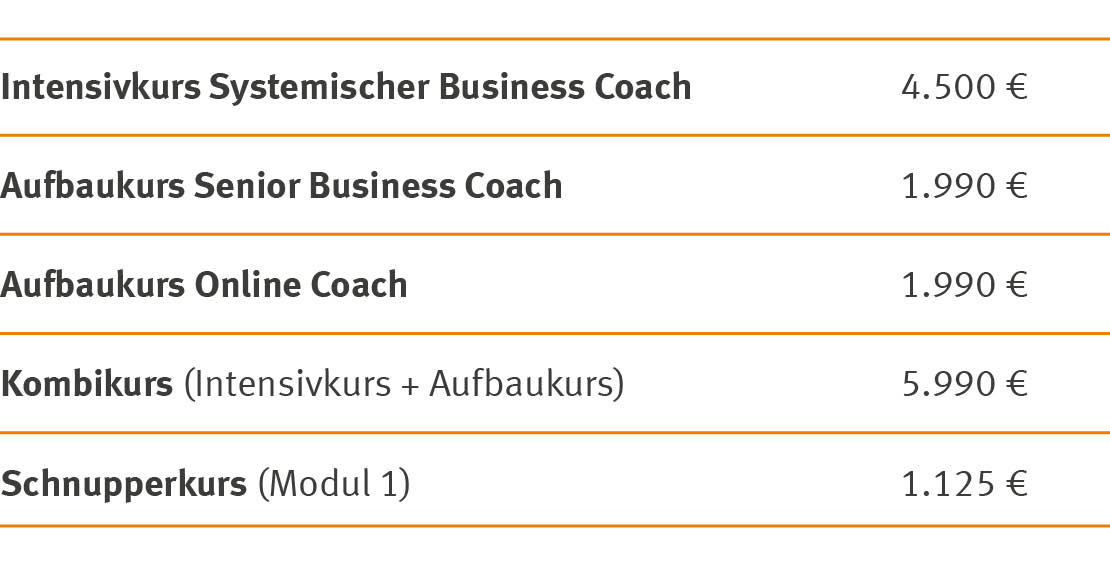 Weiterbildung Systemischer Business Coach | WINGS-Fernstudium