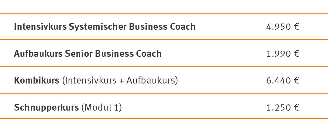 Weiterbildung Systemischer Business Coach | WINGS-Fernstudium