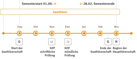 Zeitstrahl Hochschulzugangsprüfung WS