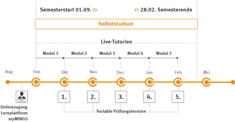 Bachelor Sozialmanagement Ablaufplan | WINGS-Fernstudium