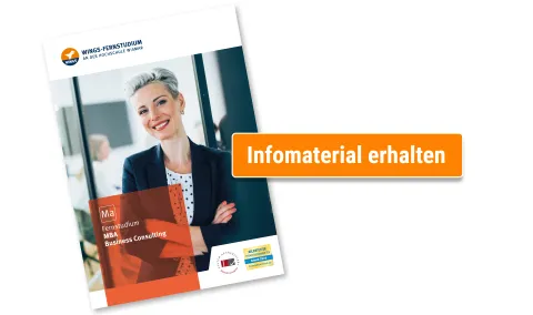 Master Business Consulting Broschuere anfordern | WINGS-Fernstudium