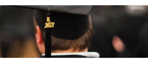 Master Business Consulitng Master Thesis