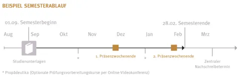 Fernstudium Ablauf Master Business Systems